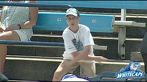 happy grand rapids GIF by West Michigan Whitecaps 