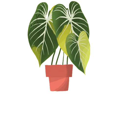 martian_plantdad giphygifmaker philodendron martianplantdad martiansplant Sticker