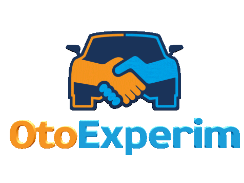 otoexperim giphyupload Sticker