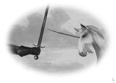 sword fighting unicorn GIF by Colin Raff