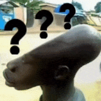 Head What GIF