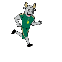 usouthflorida usf bulls go bulls university of south florida Sticker