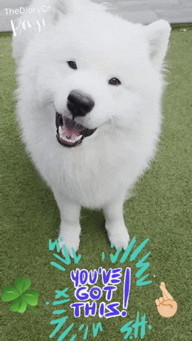 Luck Yes GIF