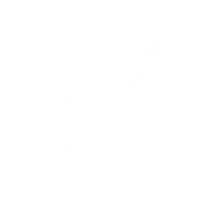 sheboss happy feliz 2021 avocado Sticker