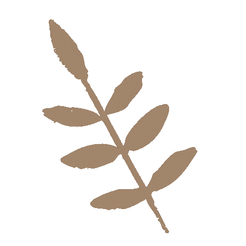 Beige Sticker