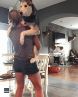 This Husky and Owner Slow Dance Will Melt Your Heart