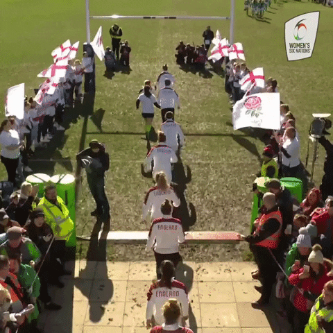 Womens6Nations giphyupload rugby england english GIF