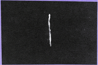 xamountrecords music australia hip hop melbourne GIF