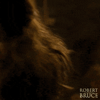 SignatureEntertainmentUK movie film movies films GIF