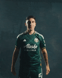 Major League Soccer Idk GIF by Timbers