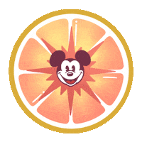 California Adventure Sticker by Disneyland Resort