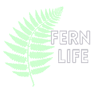 Fern Sticker by The Newbuild Newlyweds