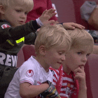 1 Fc Cologne Football GIF by 1. FC Köln