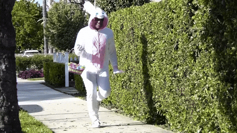 giphy image