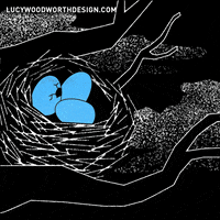 easter eggs bird GIF by Lucy Woodworth Design