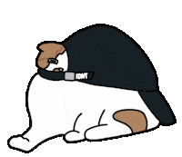 Cat Ggomo Sticker