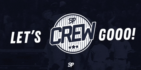Yankee Stadium Yankees GIF by Bronx Pinstripes