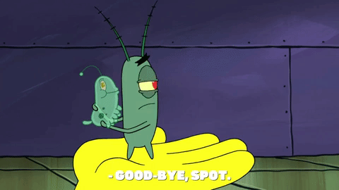 season 9 safe deposit krabs GIF by SpongeBob SquarePants