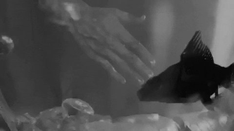 We Dont Have To Dance Music Video GIF by Andy Black