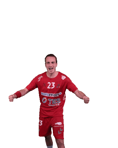 Wilhelmshaven Whv Sticker by whvhandball