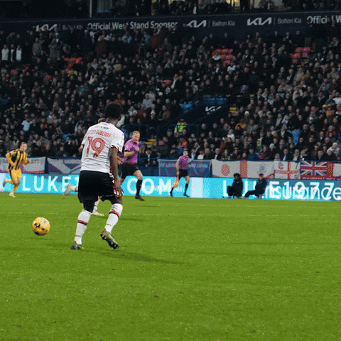 Goal Celebrations GIF by Bolton Wanderers FC