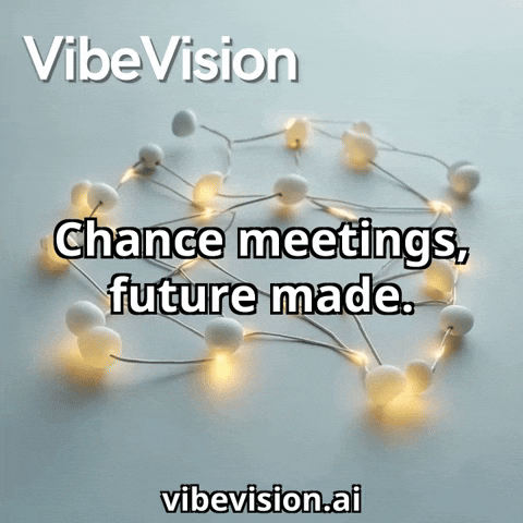 Fun Vibe GIF by VibeVision