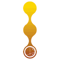 live the experience beer Sticker by Ocean Lab Brewing Co.