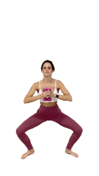 inbarrestudio workout barre plie instudio Sticker