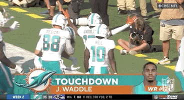 Miami Dolphins Football GIF by NFL
