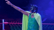 Dennis Rodman Television GIF by VH1