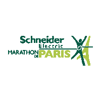 paris marathon running Sticker by Dakar Rally