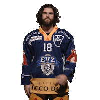 Ice Hockey Sticker by EVZ