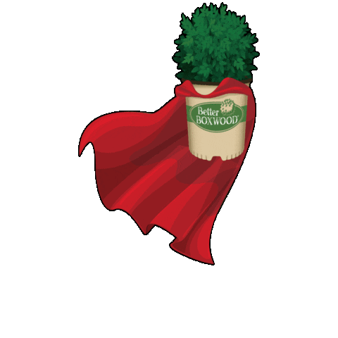 BetterBoxwood giphygifmaker Sticker