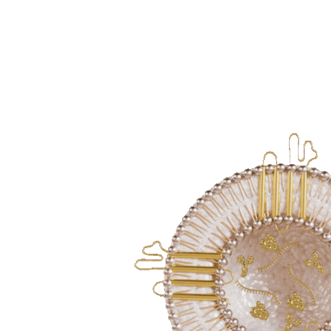 Platedskinscience giphyupload plated plated skin science and exosomes Sticker