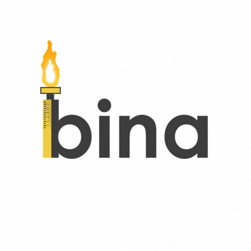 BinaApp giphyupload bina newroz binaapp GIF