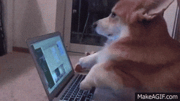 typing GIF