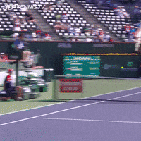 GIF by Tennis TV