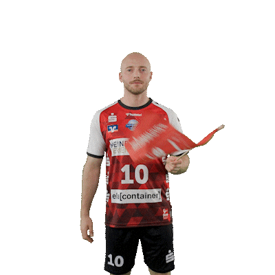 Handball Lux Sticker by DAIKIN HBL