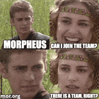 GIF by Morpheus