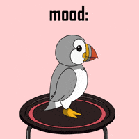 Happy Fun GIF by Puffins