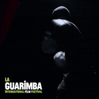 Angry Fight GIF by La Guarimba Film Festival