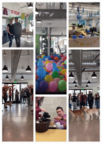 GIF by The James Agency