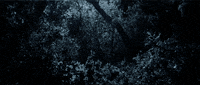 o brother GIF by hero0fwar