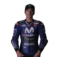 maverick vinales wtf Sticker by MotoGP