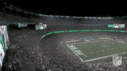 Regular Season Football GIF by NFL
