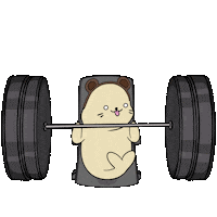 Work Out Fun Sticker by Sappy Seals Community