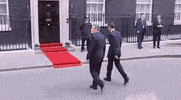 hands today GIF