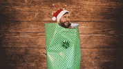 Happy Holidays GIF by Rock Valley College