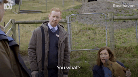 No Way Shock GIF by ABC TV + IVIEW