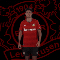 Happy Goal GIF by Bayer 04 Leverkusen